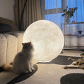 Modern Moon Floor Lamp, Warm White LED Resin Standing Lamp, 110V US Plug, Minimalist Ambient Floor Light for Living Room & Bedroom