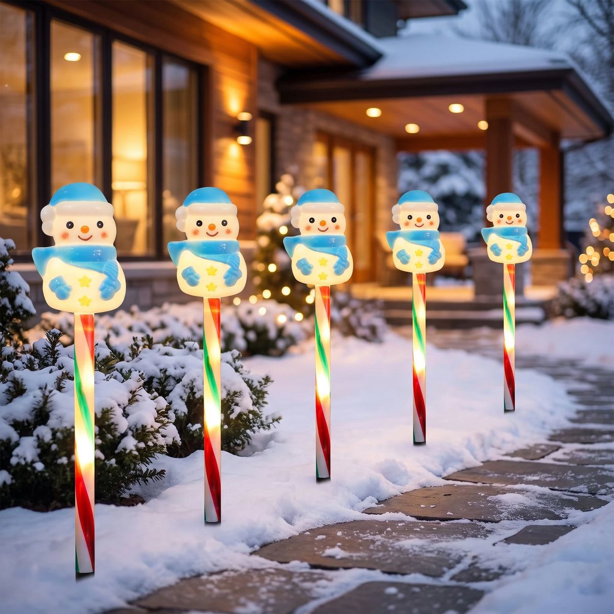 GENERATED_MAIN_GROUPD_BLUESNOWMAN::product24