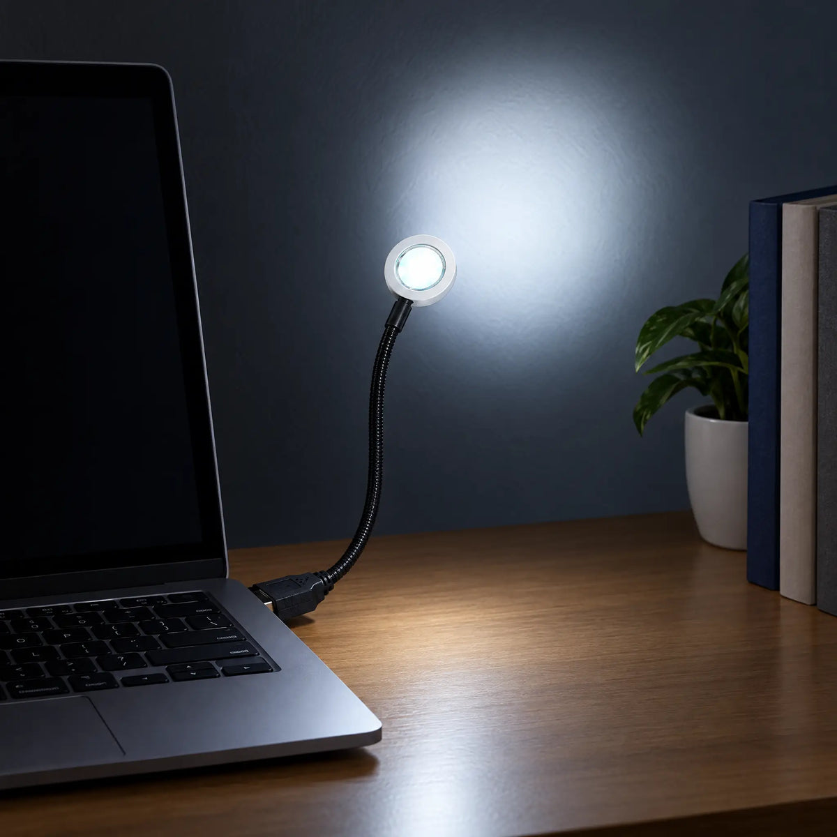 USB Gooseneck LED Lamp in Sunset, Rainbow, Sunrise, White or Warm White - White, 180 mm hose