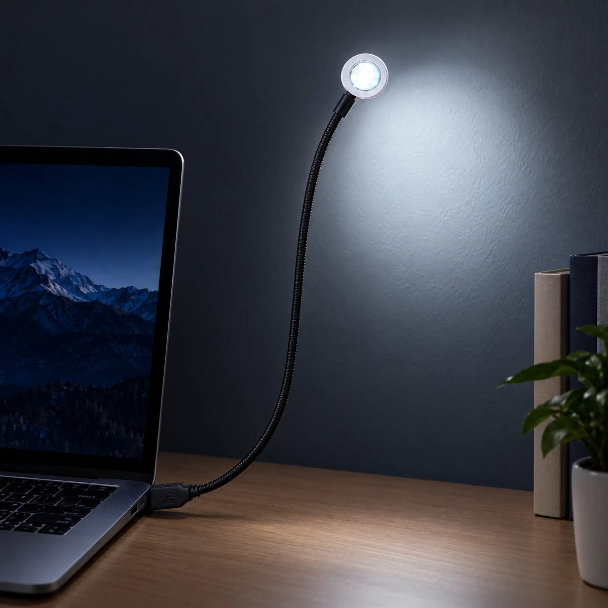 USB Gooseneck LED Lamp in Sunset, Rainbow, Sunrise, White or Warm White - White, 280 mm hose