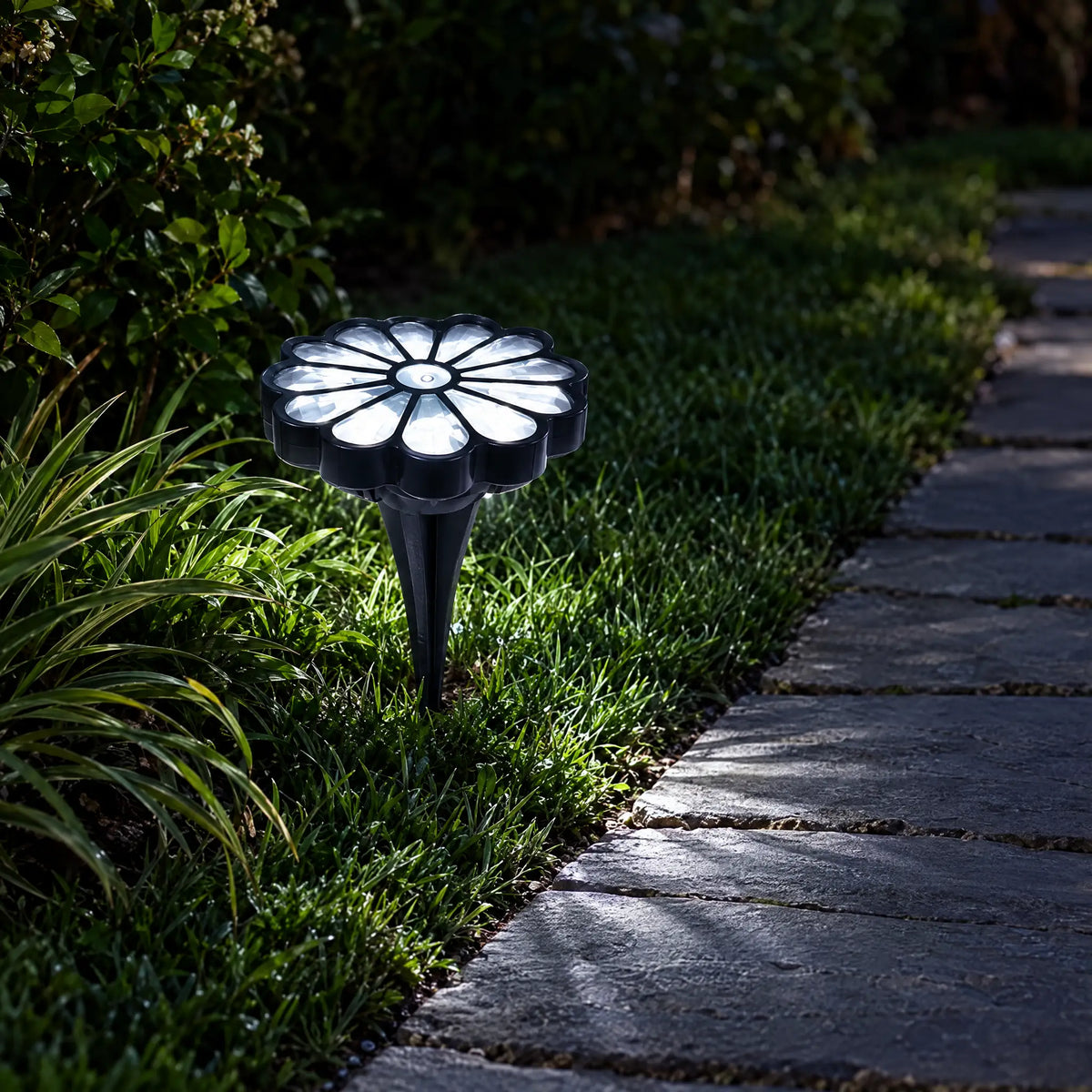 Solar Cat Claw Garden Light - Daisy white